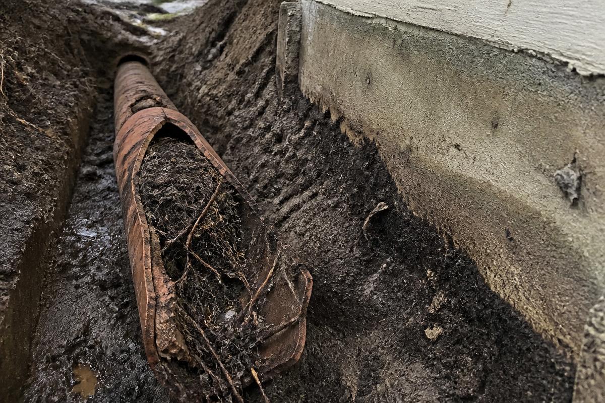 Old clay perimeter drain tile collapsed and packed with roots and silt in a muddy trench